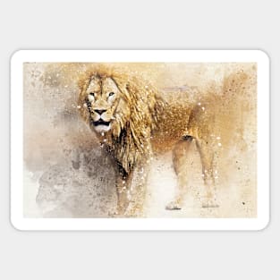 Lion Wild Animal Safari Africa Jungle Sticker